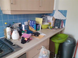 To ask for help with organising myself - calling all houseproud people