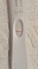 Ovulation Day - anyone want to join me during the TWW?
