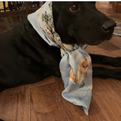 Les Parisiennes des Mamansnet: Always Have a Ball Gown at the Ready in Celebration of Your Enemy's Demise