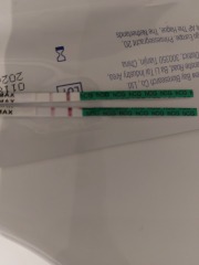 Line progression