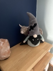 When do you put up Halloween decorations? 