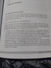 Stepping stones triple P course