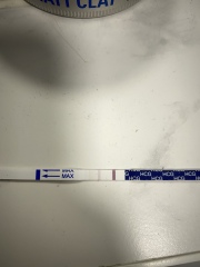 10/11 DPO need an honest opinion please