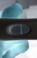 Indent line or early bfp?