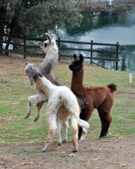 What did we see last night..?