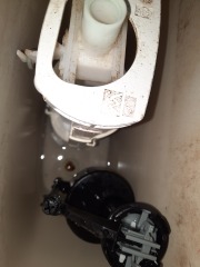 Question for plumbers - toilet blocking.