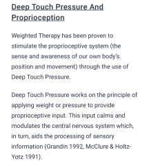 Mermaids being investigated by the charity commission