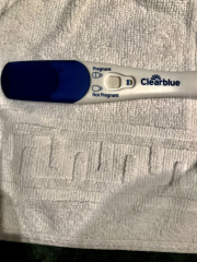 TTC chat thread 4