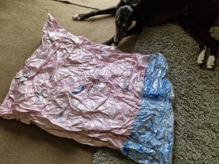 Thread 39 - Covid Cohort - Our Adult Children Now Post 18