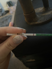 Is this a line? 