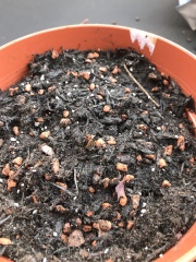 Help! I broke it 