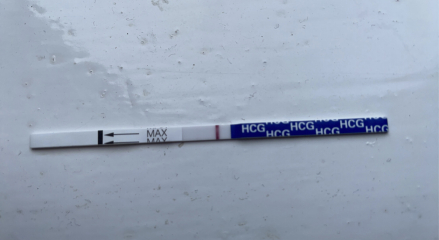 Ovulation Day - anyone want to join me during the TWW?
