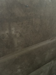 Pics attached is this enough to kill the mould/mildew?