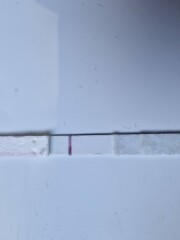 Line eyes please! 7/8 dpo!