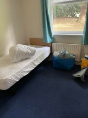 Thread 40 - Corona Cohort , Falling into Autumn 🍂 