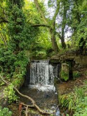 Come chat hiking with me!