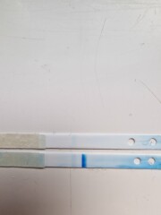 Line eyes please! 7/8 dpo!