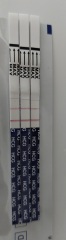 Line progression