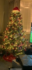 How will your tree be decorated this year?