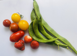 The Vegetable Patch