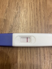 12dpo faint positive or evap line??