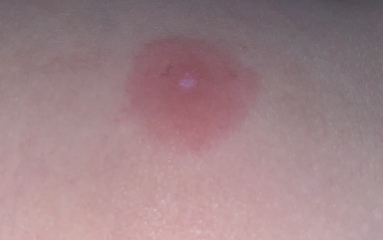 Does anyone know what this could be? 