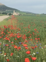 Camino Frances