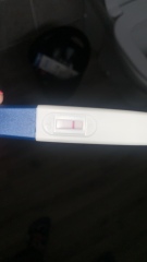 Indent lines? 