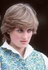 Diana and Charles Questions