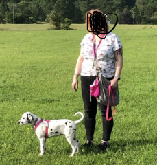 July 22 Low Carb Bootcamp - the final weigh-in