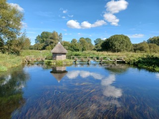 Come chat hiking with me!