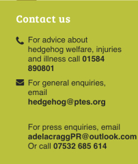 To ask you to please help hedgehogs and other wildlife prepare for winter