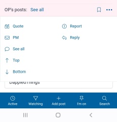 Reply doesn't do anything 