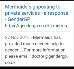 Mermaids being investigated by the charity commission