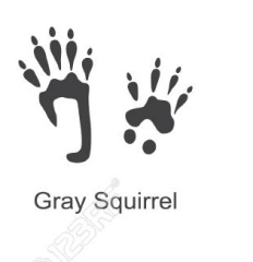 What is this mark?! 
