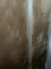 Pics attached is this enough to kill the mould/mildew?