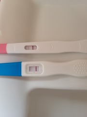 Positive test?