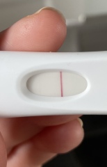 Indent line or early bfp?