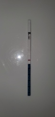 13 DPO 