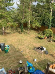 Anyone fancy designing my garden?!