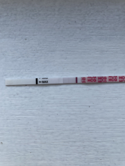 🤞 September BFP 🌈