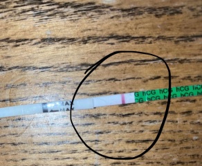 Positive / negative? Clear blue any good?