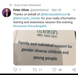 Mermaids being investigated by the charity commission