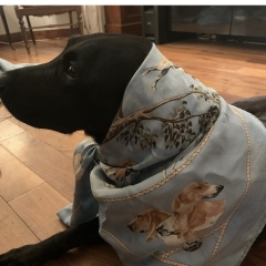 Les Parisiennes des Mamansnet: Always Have a Ball Gown at the Ready in Celebration of Your Enemy's Demise