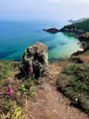 Why is everyone obsessed with Cornwall?