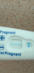 Please tell me I'm not pregnant.