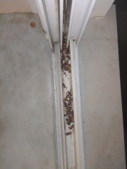 What IS this Smell??????