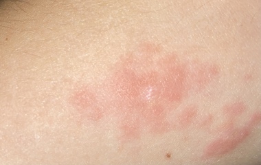 Does anyone know what this could be? 