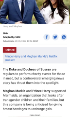 Mermaids being investigated by the charity commission