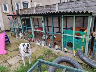 Another neighbour one...